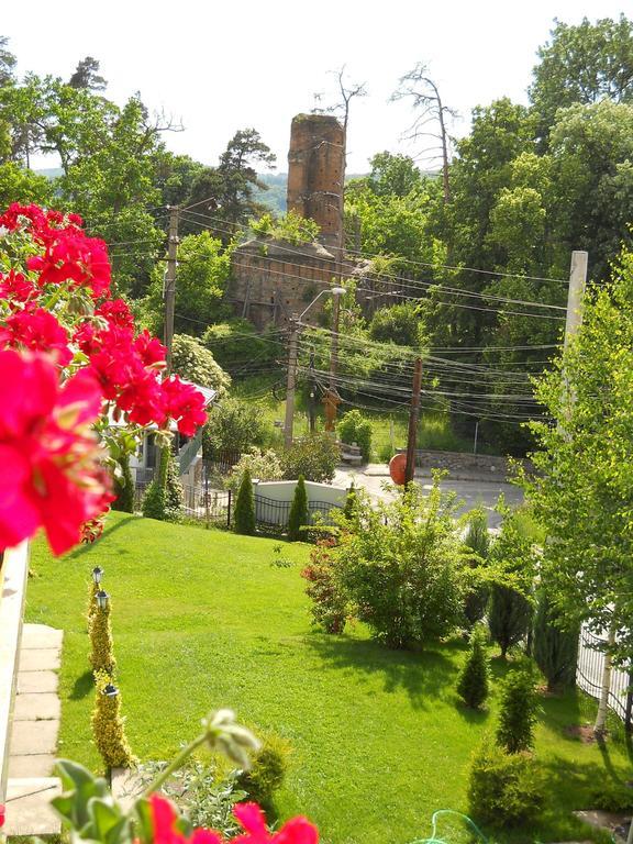 Casa Domneasca Hotel Curtea De Arges Exterior photo
